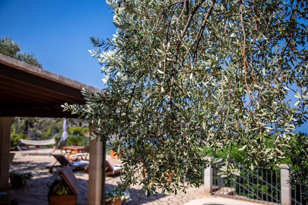 Finca Rural Es Pujol Soller Bagian luar foto