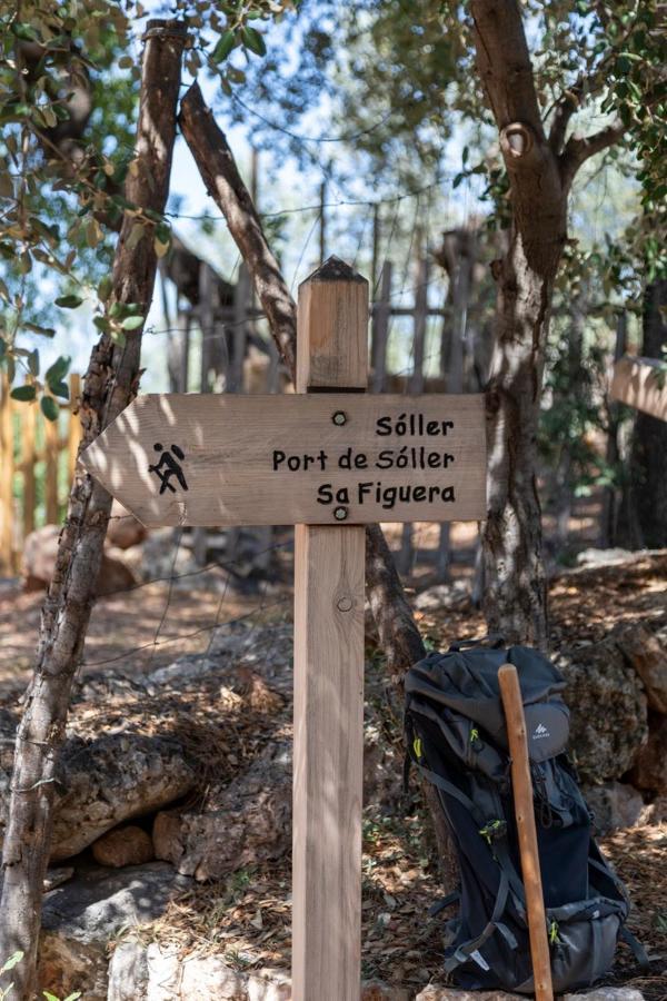 Finca Rural Es Pujol Soller Bagian luar foto
